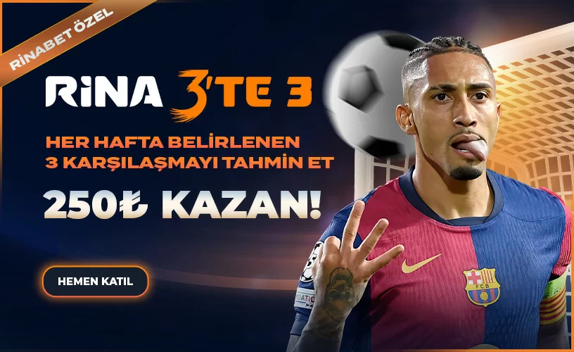 3'TE 3